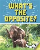 Cari Meister - What's the Opposite?
