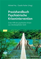 Claudia Fischer, Michae Frey, Michael Frey - Praxishandbuch Psychiatrische Krisenintervention