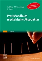 Mik Cummings, Mike Cummings, Jacqueline Filshie, Adria White, Adrian White - Praxishandbuch medizinische Akupunktur