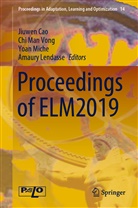 Jiuwen Cao, Amaury Lendasse, Ch Man Vong, Chi Man Vong, Yoan Miche, Yoan Miche et al... - Proceedings of ELM2019
