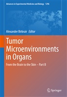 Alexande Birbrair, Alexander Birbrair - Tumor Microenvironments in Organs