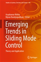 Bandyopadhyay, Bandyopadhyay, Bijnan Bandyopadhyay, Axaykuma Mehta, Axaykumar Mehta - Emerging Trends in Sliding Mode Control