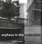 Gabriel Rosenstock - Orpheus in the Underpass