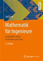 Ziya Sanal - Mathematik für Ingenieure