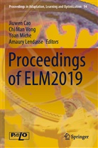 Jiuwen Cao, Amaury Lendasse, Ch Man Vong, Chi Man Vong, Yoan Miche, Yoan Miche et al... - Proceedings of ELM2019