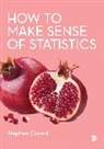 Stephen Gorard, Stephen Gorard - How to Make Sense of Statistics