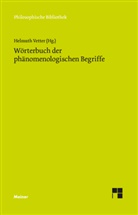 Helmut Vetter, Helmuth Vetter - Wörterbuch der phänomenologischen Begriffe