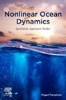 Maged Marghany, Maged (Professor Marghany - Nonlinear Ocean Dynamics