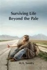 M. A. Sandry - Surviving Life beyond the Pale: I was set up! A journey from innocence through abuse to strength