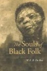 W. E. B. Du Bois - The Souls of Black Folk