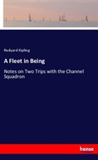 Rudyard Kipling - A Fleet in Being