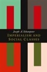 Joseph Alois Schumpeter - Imperialism and Social Classes
