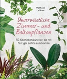 Mathilde Lelièvre - Unverwüstliche Zimmer- und Balkonpflanzen