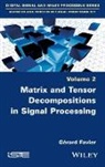 Gerard Favier, Gérard Favier - Matrix and Tensor Decompositions in Signal Processing, Volume 2