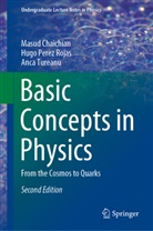 Masu Chaichian, Masud Chaichian, Hug Perez Rojas, Hugo Perez Rojas, Anca Tureanu - Basic Concepts in Physics