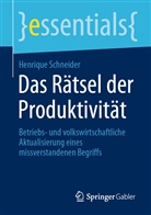 Henrique Schneider - Das Rätsel der Produktivität