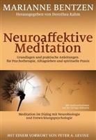 Marianne Bentzen, Dorothe Rahm, Dorothea Rahm - Neuroaffektive Meditation