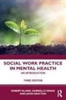 Bland, Robert Bland, Robert Drake Bland, Gabrielle Drake, John Drayton, Ann Tullgren - Social Work Practice in Mental Health