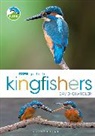 David Chandler, David (Author) Chandler - RSPB Spotlight Kingfishers