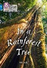 Collins Big Cat, Liz Miles, Miles Liz - In a Rainforest Tree