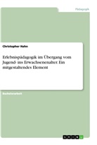 Christopher Hahn - Erlebnispädagogik im Übergang vom Jugend- ins Erwachsenenalter. Ein mitgestaltendes Element