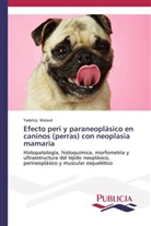 Yadetzy Malavé - Efecto peri y paraneoplásico en caninos (perras) con neoplasia mamaria