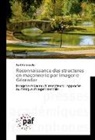 Rani Hamrouche - Reconnaissance des structures en maçonnerie par imagerie Géoradar