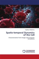 Angélique Stéphanou - Spatio-temporal Dynamics of the Cell