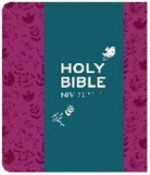 New International Version, New International Version - NIV Journalling Plum Soft-tone Bible with Clasp