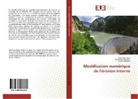 Emanuel Catalano, Emanuele Catalano, Bruno Chareyre, Anh Tua Tong, Anh Tuan Tong - Modélisation numérique de l'érosion interne