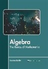 Joanna Burke - Algebra: The Basics of Mathematics