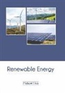Michael Silva - Renewable Energy