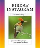 Chris Gatcum, David Allen Sibley, David Allen Gatcum Sibley, Chris Gatcum, David Allen Sibley - Birds of Instagram