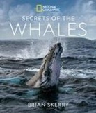 Brian Skerry - Secrets of the Whales