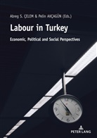 Pelin Akçagün, Abreg Çelem - Labour in Turkey