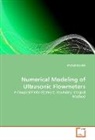 Michal Bezdek - Numerical Modeling of Ultrasonic Flowmeters