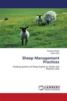 Sarjan Rao, Ravindr Reddy, Ravindra Reddy - Sheep Management Practices