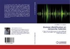 Carlos Rafael Ramirez Jimenez - Damage identification on composite materials