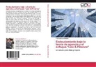 Paolo Saona Hoffmann - Endeudamiento bajo la teoría de agencia y el enfoque "Law & Finance"