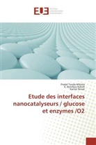 K Bonifac Kokoh, K Boniface Kokoh, K. Boniface Kokoh, Ka Servat, Karine Servat, Prade Tonda-Mikiela... - Etude des interfaces nanocatalyseurs / glucose et enzymes /O2