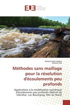 Abdoul-hafa Halassi, Abdoul-hafar Halassi, Ahmed Taik - Méthodes sans maillage pour la résolution d'écoulements peu profonds
