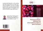 Fouad Lahjomri - Photoacoustique: Diffusion de chromophores dans la peau humaine