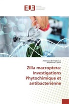 Abdelazi Berreghioua, Abdelaziz Berreghioua, Abdelkrim Cheriti - Zilla macroptera: Investigations Phytochimique et antibacteriènne