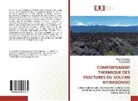 King Birindwa, Honor Ciraba, Honoré Ciraba, Mariu Mufungizi, Marius Mufungizi - COMPORTEMENT THERMIQUE DES FRACTURES DU VOLCAN NYIRAGONGO