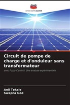 Swapna God, Ani Tekale, Anil Tekale - Circuit de pompe de charge et d'onduleur sans transformateur