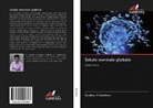 Sanjeev Srivastava - Salute mentale globale