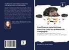 Brenda Carolina Colêto - Insuffisance pancréatique exocrine chez les animaux de compagnie