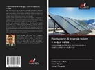 Javier Carletto, Cristia Lanzilotta, Cristian Lanzilotta, Oma Masini, Omar Masini - Produzione di energia solare e acqua calda