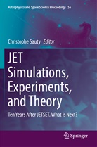 Christoph Sauty, Christophe Sauty - JET Simulations, Experiments, and Theory