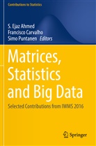 S. Ejaz Ahmed, Francisc Carvalho, Francisco Carvalho, Simo Puntanen - Matrices, Statistics and Big Data